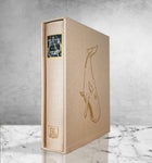 The Hitchhikers Guide to the Galaxy - Standard - Champagne